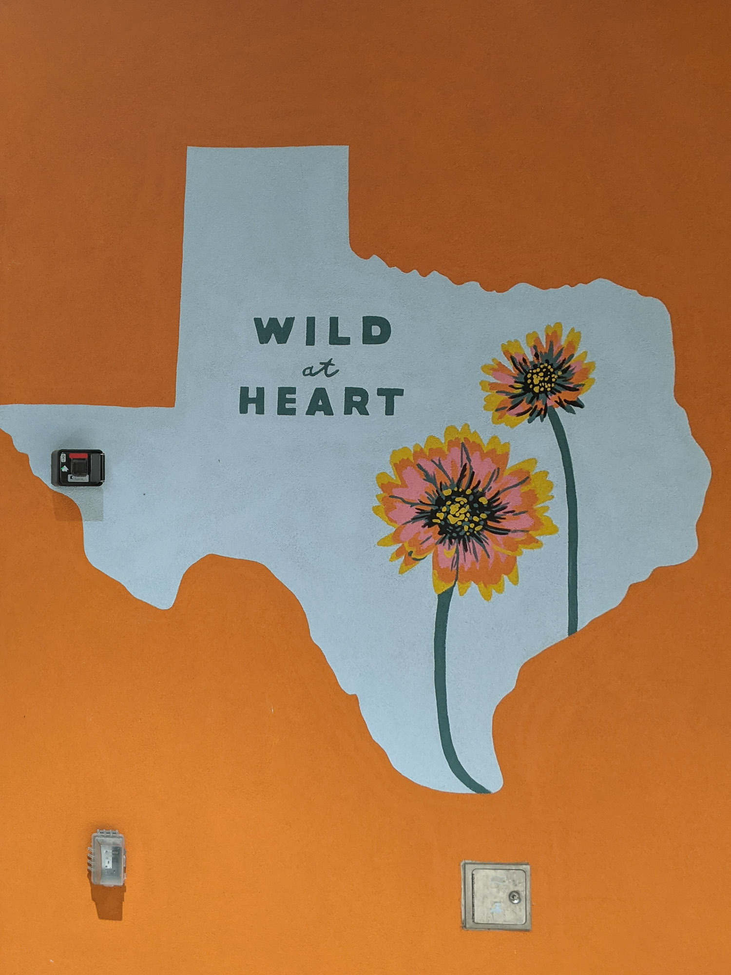 13 Best Places to Pick Sunflowers in Texas Enchanting Texas