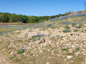 Austin's Hidden Gem: Muleshoe Bend Recreation Area Awaits!