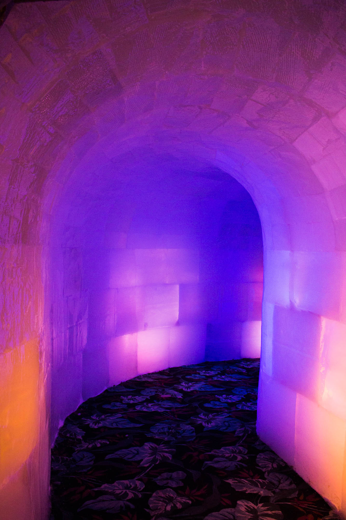 Iceland at Moody Gardens, Galveston Ultimate Guide