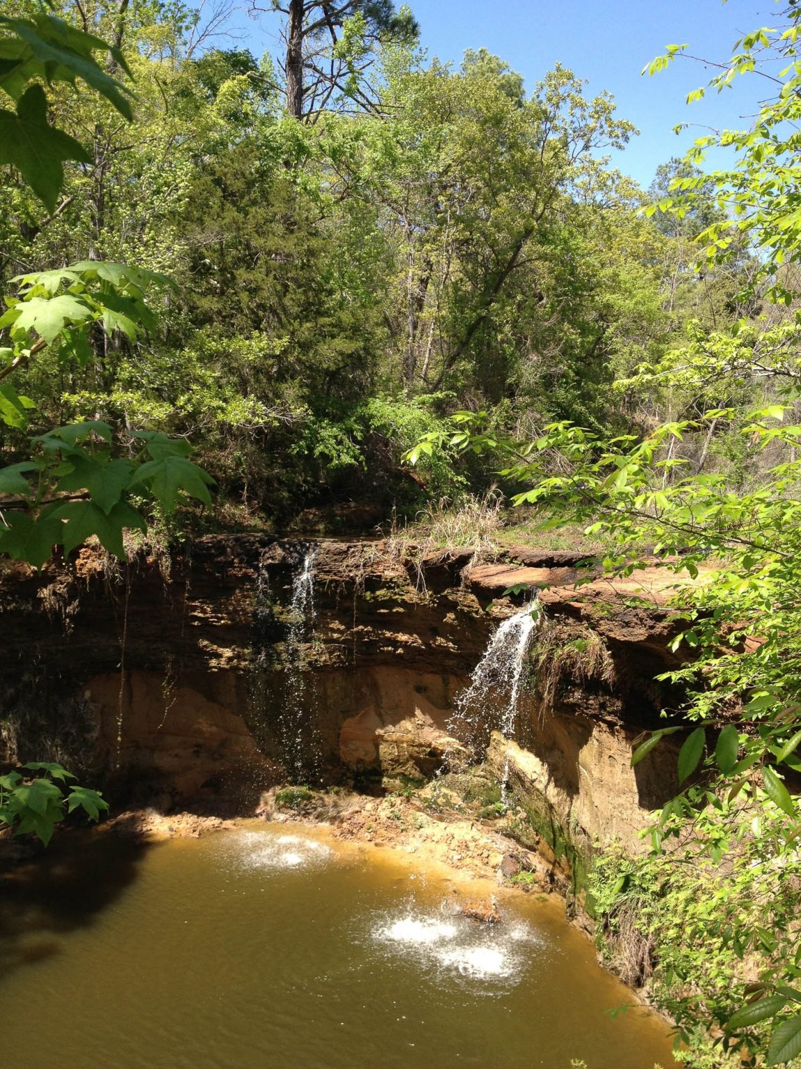 13 Best Things to do in Palestine, Texas