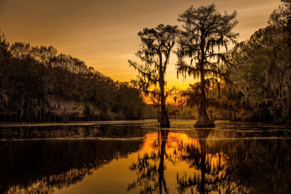 50 Wonderful Reasons to Visit East Texas & the Piney Woods