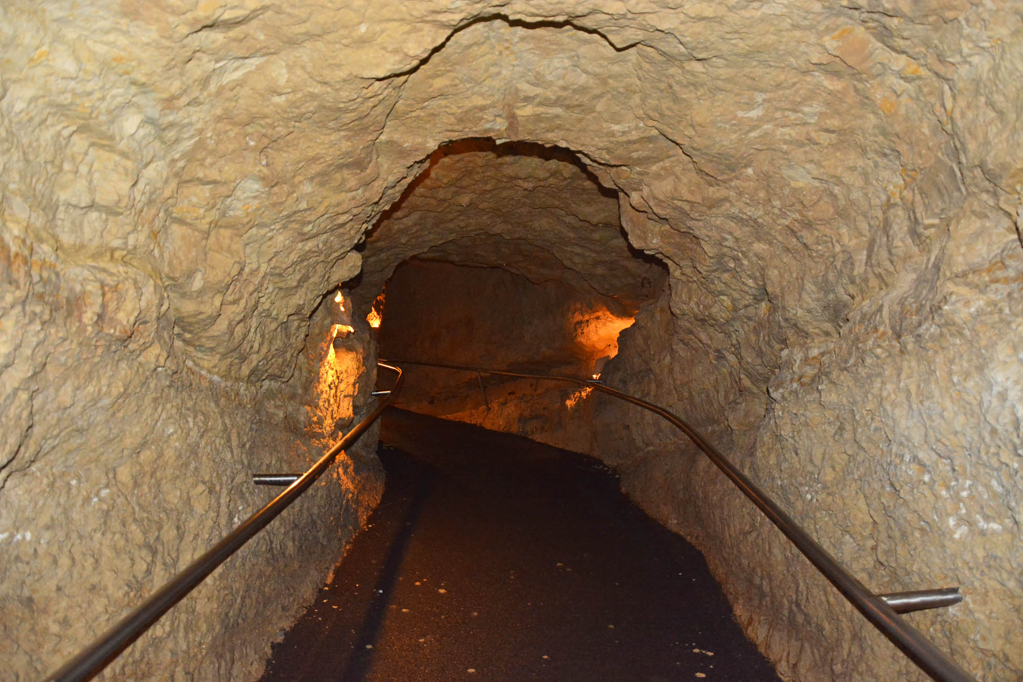 12 Famous Bat Caves in Texas for Wildlife Lovers