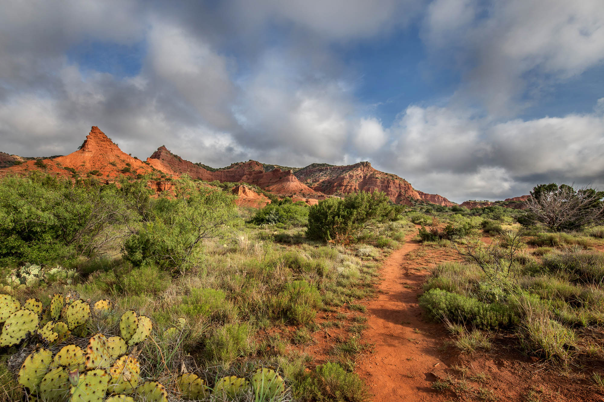 12 Famous Bat Caves in Texas for Wildlife Lovers