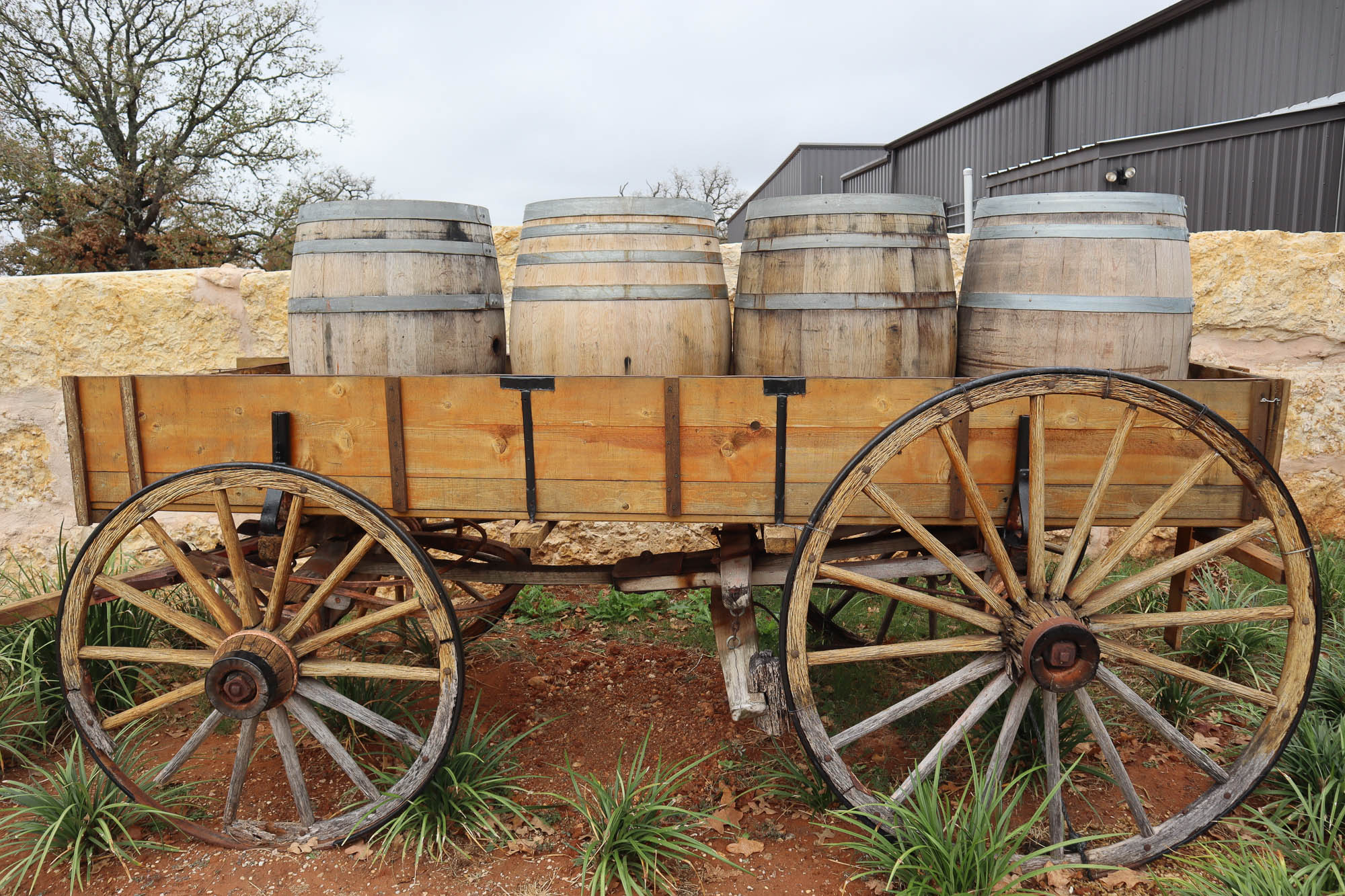 20 Best Wineries in Fredericksburg, Texas