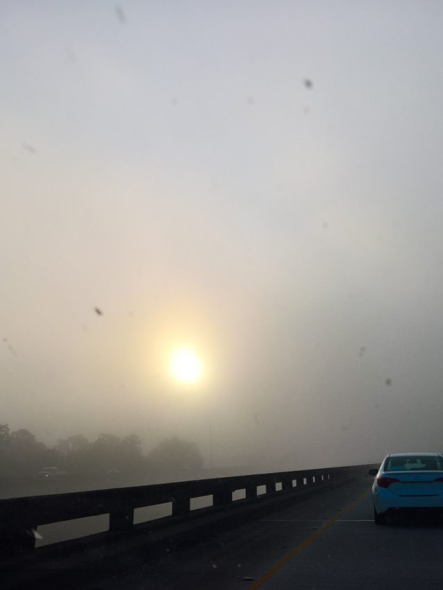 17 Best Things to do in the Heights, Houston