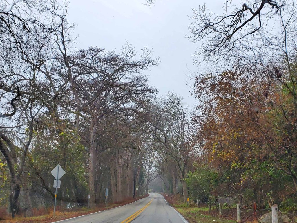Canyon Lake is a great day trip from New Braunfels along the scenic River Road
