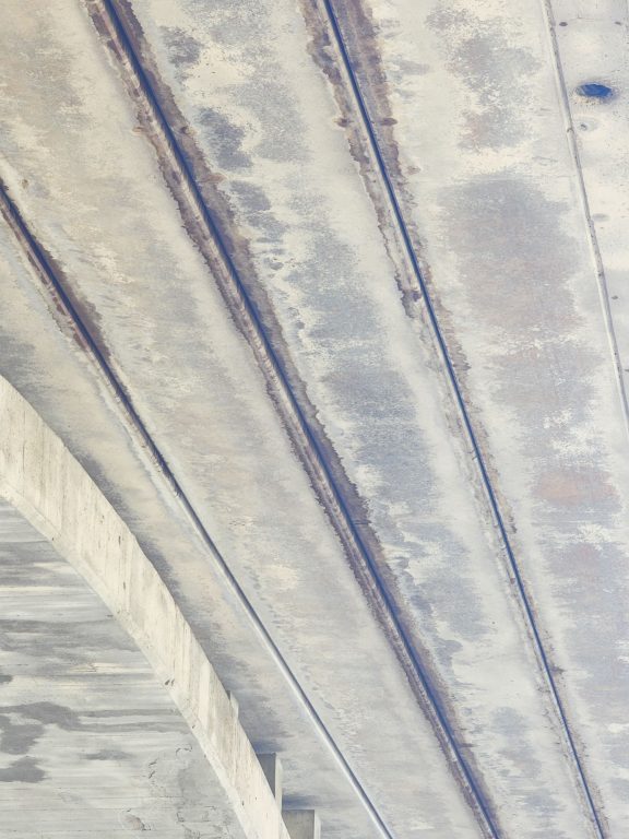 Ultimate Guide to Watching Congress Avenue Bats, Austin