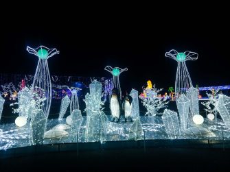 Magical Winter Lights, Houston: Ultimate Guide