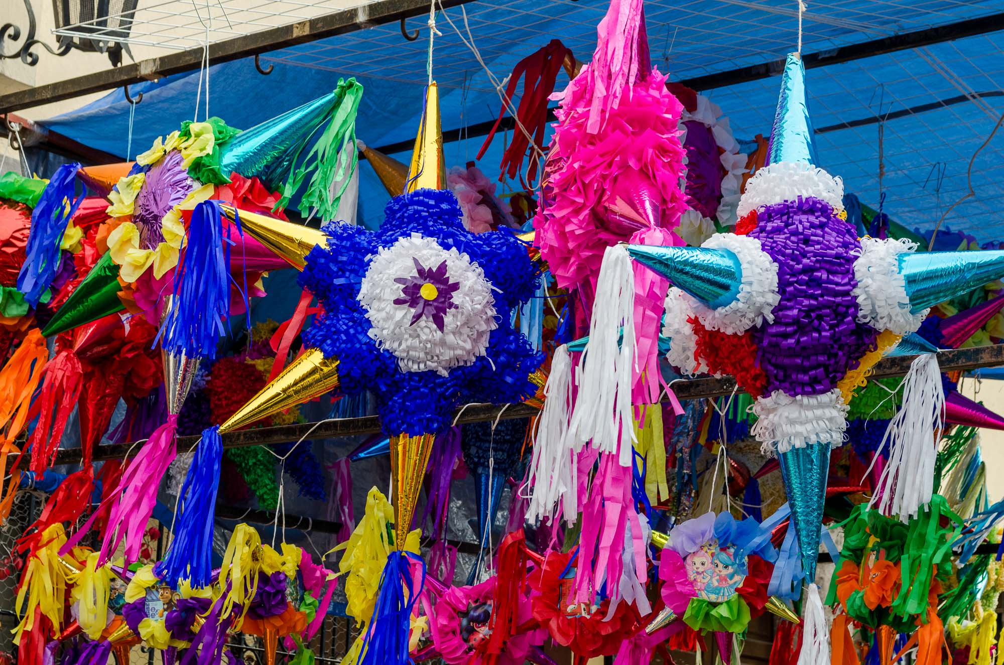 14 Best Things to do for Christmas in El Paso, Texas