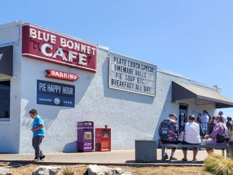 Austin's Hidden Gem: Muleshoe Bend Recreation Area Awaits!
