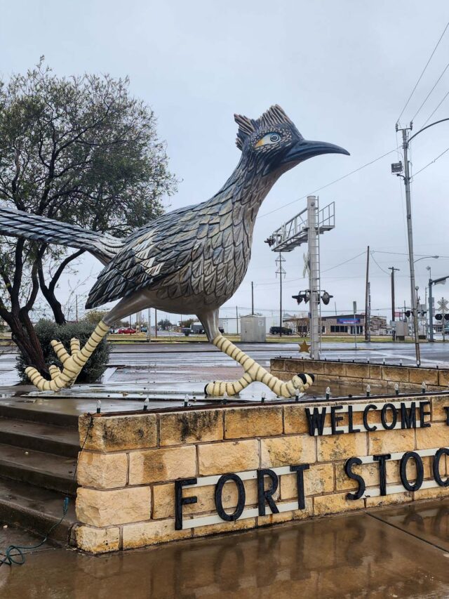 everything-you-need-to-know-about-buc-ee-s-beaver-nuggets