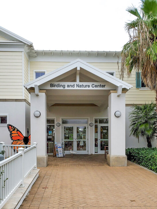 Birdwatching Bliss: South Padre Island Birding and Nature Center