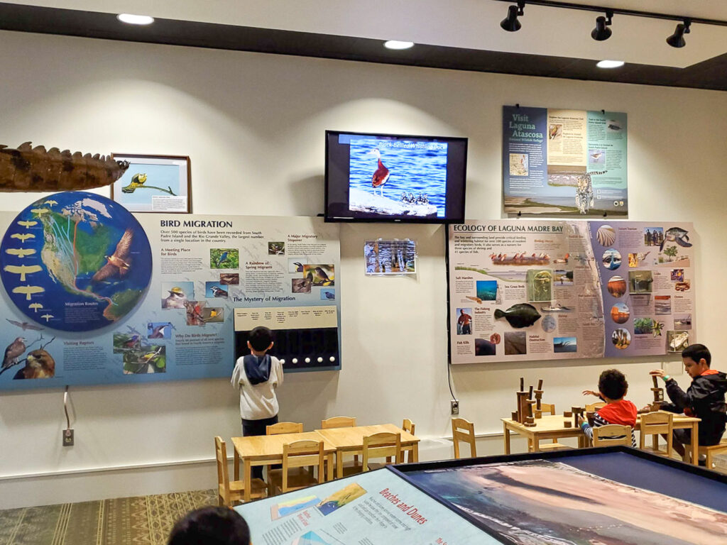 Birdwatching Bliss: South Padre Island Birding and Nature Center