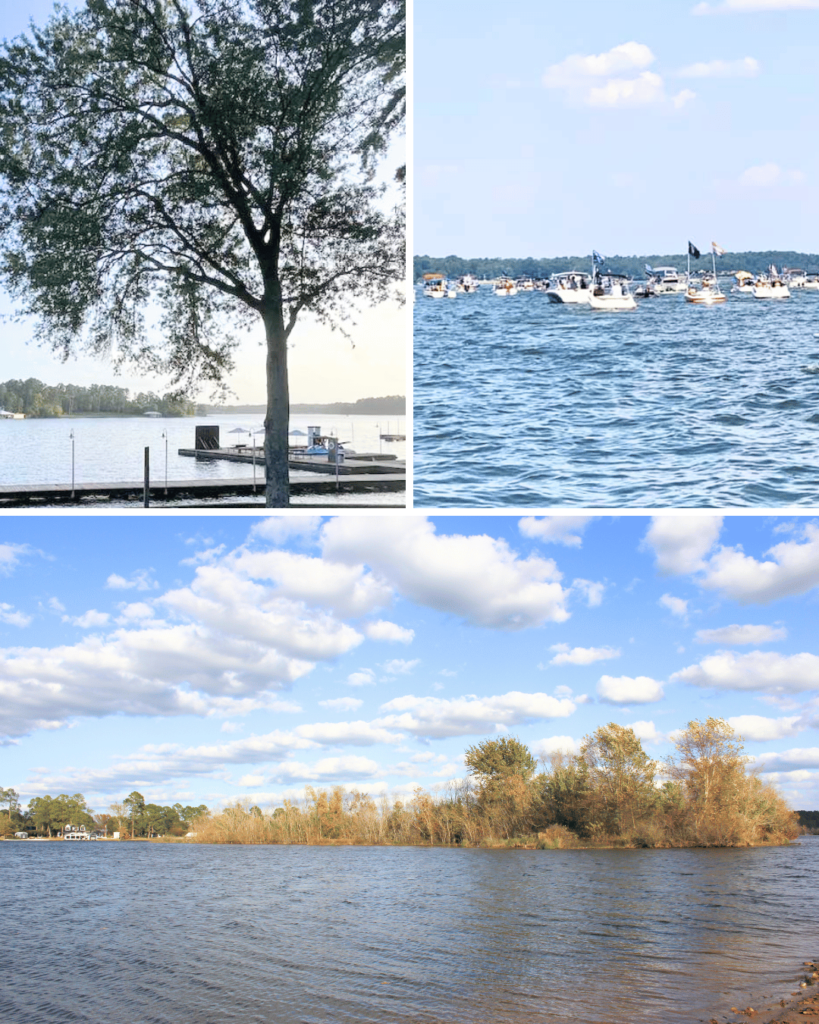 Lake Tyler is great to spend a day on the water and watch the waves come crashing in and see birds fly high over you