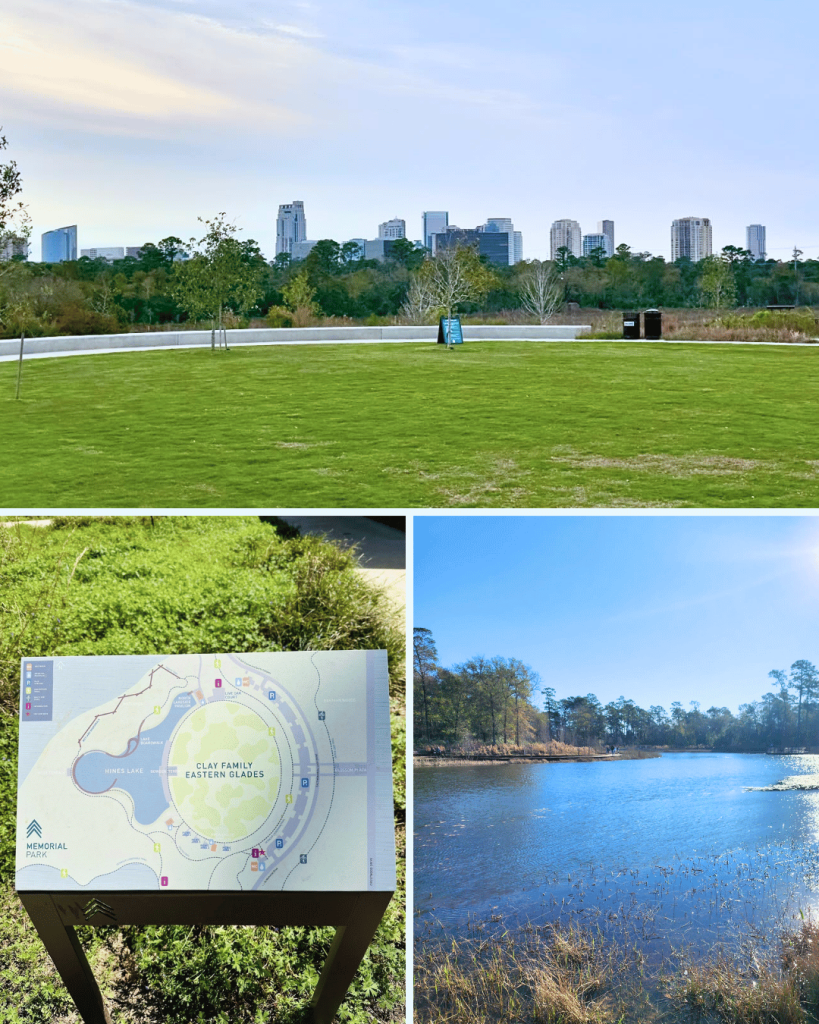 Memorial Park is a great green space to get some workout