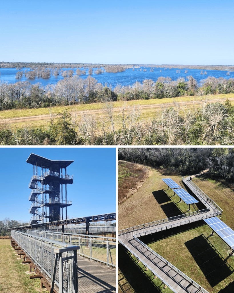 Climbing up the John Jacob Observation Tower at Sheldon Lake State Park is a great adventure